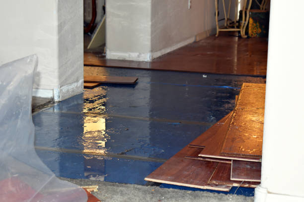 Professional Water Damage Restoration technician working in Clayton, CA